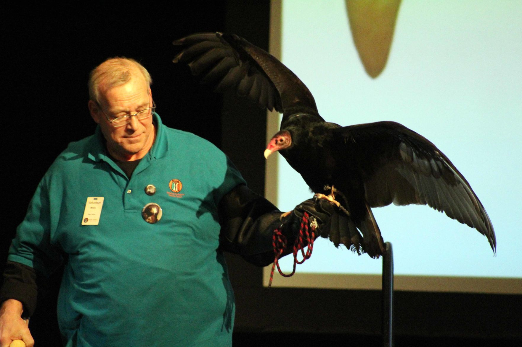 012320-sauk-news-eagle018.jpg